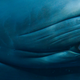 Image for article titled These beautiful portraits of whales will make you weep at the wonder of the universe (no, really)